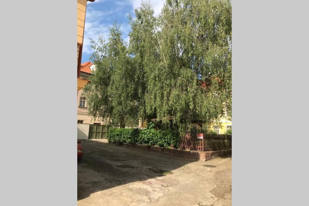 Rose Apartments / Romantic & Cozy / City Center Πράγα Εξωτερικό φωτογραφία