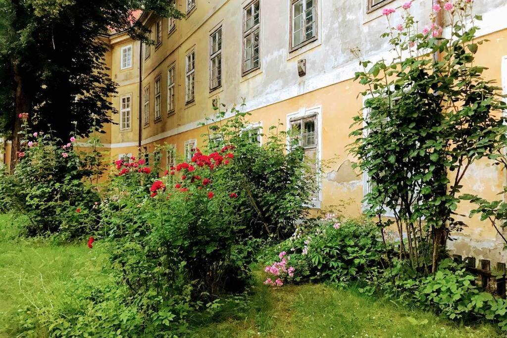 Rose Apartments / Romantic & Cozy / City Center Πράγα Εξωτερικό φωτογραφία
